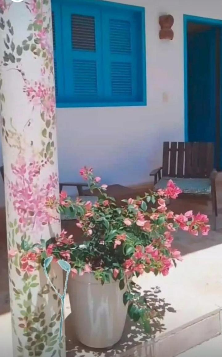 Recidencial Vila Pura Vida Canoa Quebrada Eksteriør bilde